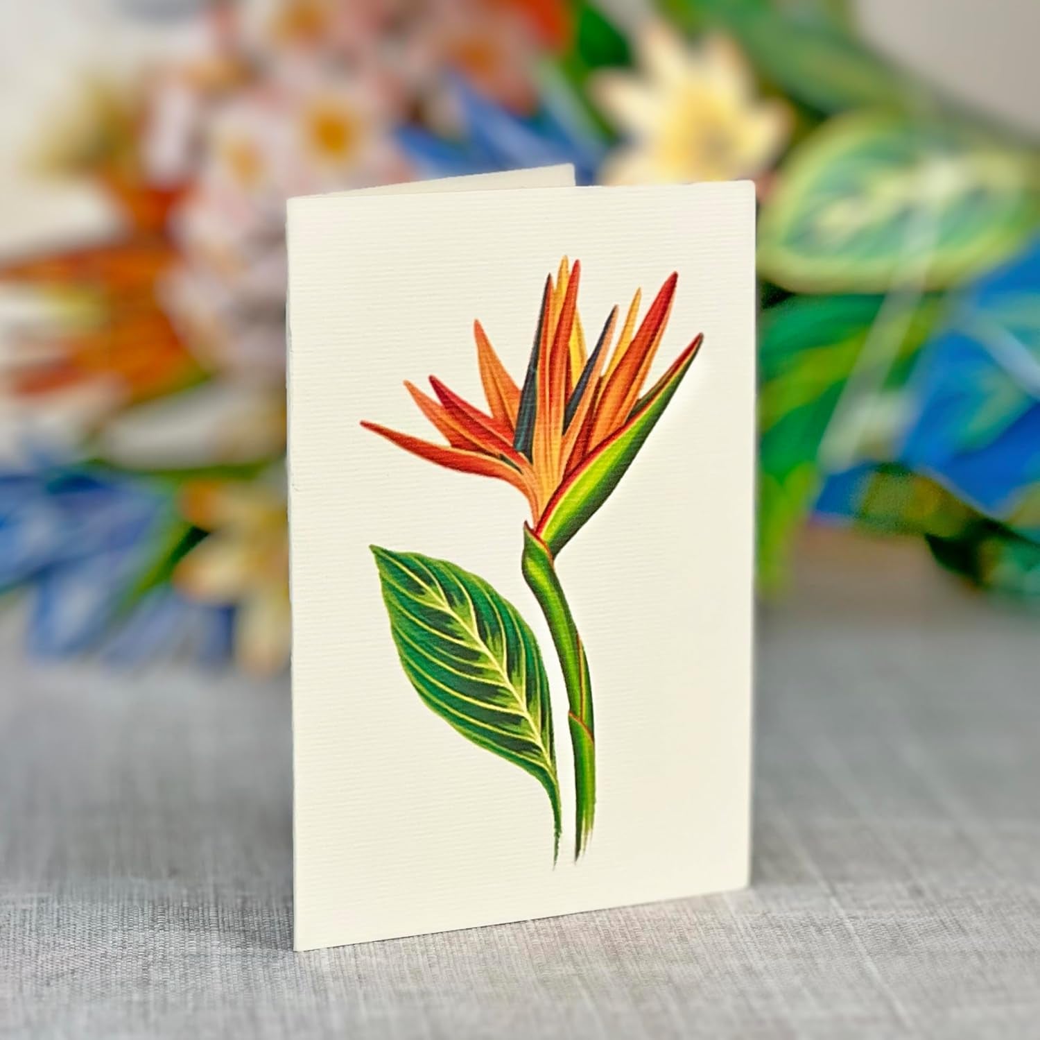 A Bloom for Every Occasion – 3D Pop-Up Flower Greeting Cards - Designed by Hand - Cupid's Treasures